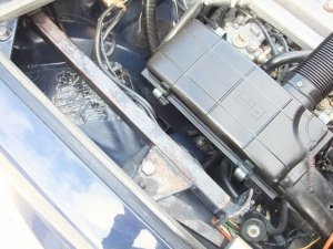 DSCF4610