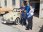 VW MAGGIOLONE 1302 1.2 COUPE' VETRO PIATTO - SERVICE BOOK- ASI-