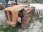 Trattore fiat 311c da restaurare