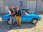 LANCIA FULVIA COUPE’ 1.3S 3°S 5M- -ASI\CRS- TARGA TORINO -